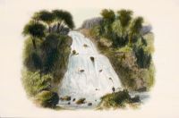 Turk Waterfall, Killarney