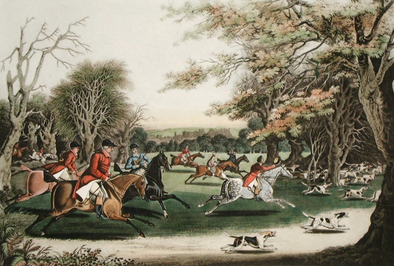 Royal Hunt in Windsor Park