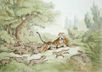 Tiger Hunted by Wild Dogs, Th