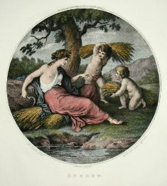 round genre print, Summer