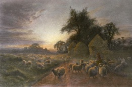 decoratve picture of sheep