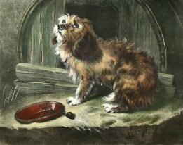 terrier