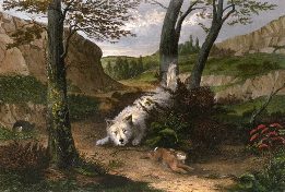 Cairn Terrier