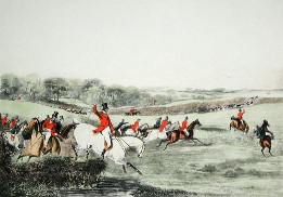 Tipperary glory, irish fox hunting