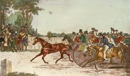 Nonpareil, fast trap