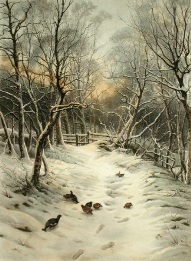 Snowy Garb of Sleeping Earth, Farquharson