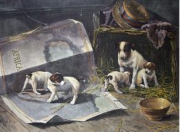 terrier puppies print