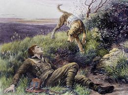 retriever and soldier