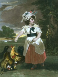 feeding chickes after joshua reynolds