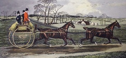 Spicy Team, horse drawn carriage