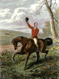 fox gunting, Tally Ho