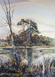 The First Swallow, hand coloured rural scene