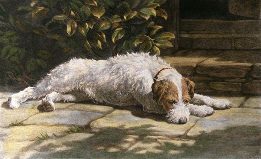 Terrier print