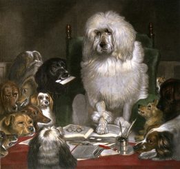 Laying down the Law, humorous dogs engraving