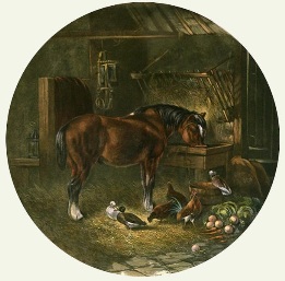 Ease, horse in barn