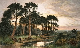 Surrey Pinewood, after Leader