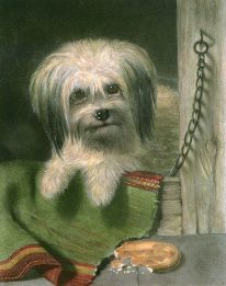 skye terrier etching