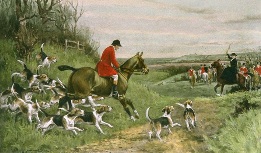 fox hunting, View Halloa