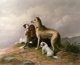 highland dogs etching