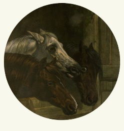 Member of the Agricultural Society, after herring
