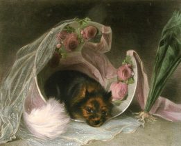 Yorkshire Terrier genre etching