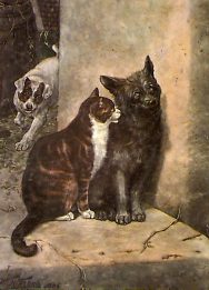 genre cat and dog print