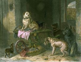 Terrier genre etching
