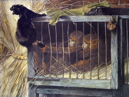 Tail of Woe, after arthur wardle