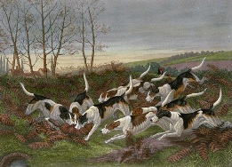 Killed Among the Brake, fox hunting
