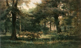 kew gardens, hand colored print