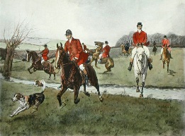 Thinning Field, hunting