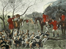 Treed, hunting