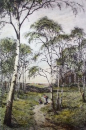 The Primrose Wood, slocombe