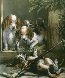 fox hounds etching