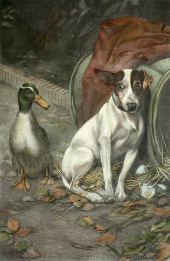 Guilty Conscience, terrier