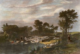 Sheep Washing, after wilkie