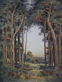 Evening Light, rural scene