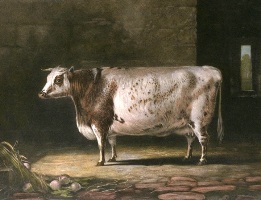 Bracelet, cattle engraved by landseer