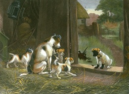 Disgrace To His Family, after stanley berkeley