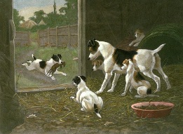 Credit To His Family, terriers after Berkeley