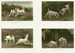 When We Were Pups Together, after berkeley