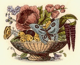 print of flowers and butterfly