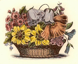 hand coloured flowers print