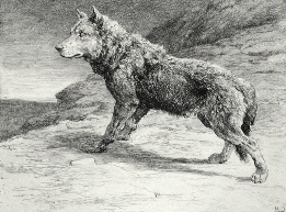 Wolf on the Prowl, Dicksee
