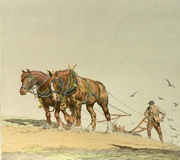 ploughing