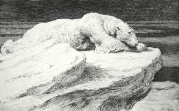 Polar Bear at Rest, Dicksee