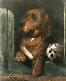 print of west highland  white terrier and hound