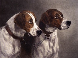Hounds, Pick of the Pack, hand colored etching