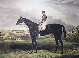 Jeddah, racehorse and jockey print