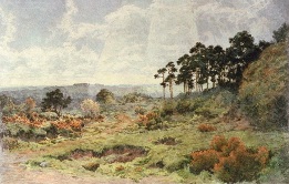Wild Surrey, after Weiss